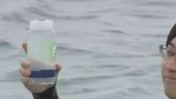 夏のシーズンを前に…「海開き」に向けて水質調査　透明度や大腸菌の数など9項目を評価　兵庫