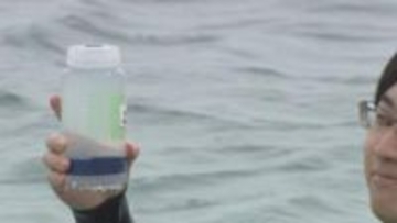 夏のシーズンを前に…「海開き」に向けて水質調査　透明度や大腸菌の数など9項目を評価　兵庫