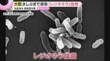 「レジオネラ症の患者が増加、過去5年で最多に　水辺に潜む感染菌の危険とは「ぬめりのあるところをきれいに」」の画像1