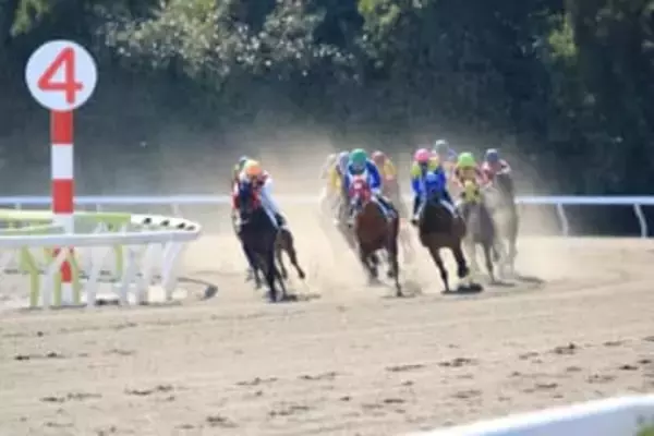 一口馬主の赤字で「節税できる人」と「できない人」の決定的な違いとは？「所得区分の壁」に要注意