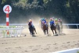 一口馬主の赤字で「節税できる人」と「できない人」の決定的な違いとは？「所得区分の壁」に要注意