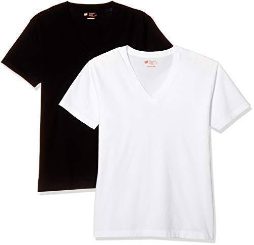 [ヘインズ] Tシャツ(2枚組) 綿100% ジャパンフィット 半袖 5.3オンス 2P Japan Fit VネックTシャツ H5325 メンズ アソート998 L
