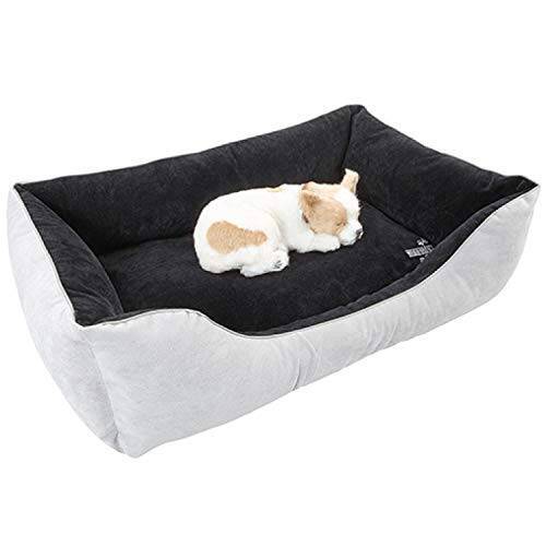 Magniflex(マニフレックス) ペット用ベッド マニペットコレクション マニペット Bed W60×D40cm 高反発 イタリア製 体圧分散 犬 猫 ペット 用