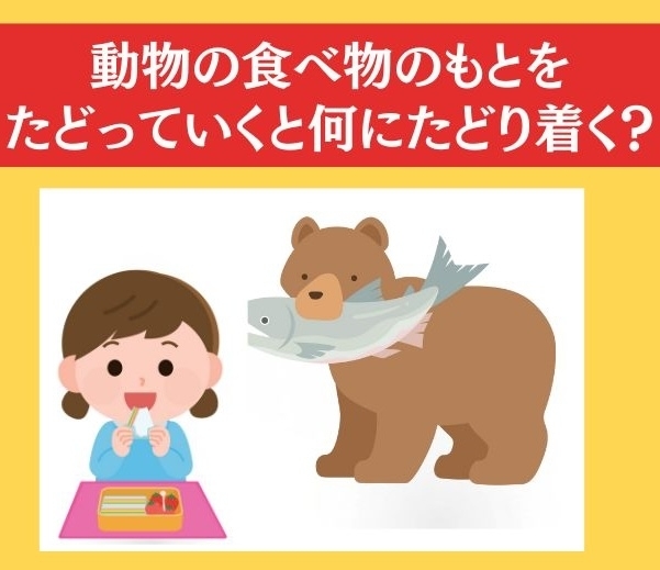 大人ならわかる？ 小学6年の「理科」問題