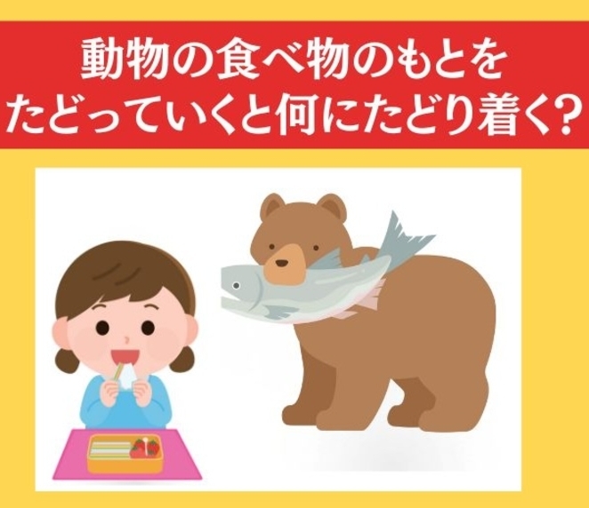 大人ならわかる？ 小学6年の「理科」問題