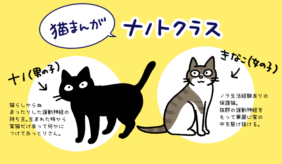 漫画「猫まんがナノトクラス」連載特集