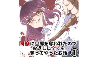 同僚に旦那を奪われたのでお返しに全てを奪ってやったお話