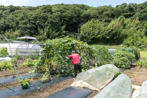 夫婦ふたりの充実した生活空間 パッシブデザインにこだわった心地よい空間で豊かな日々を過ごす