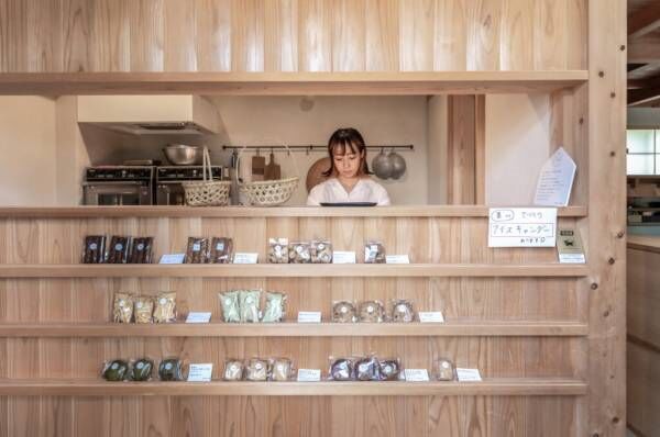 旗竿地に立つ店舗併用住宅 半地下につくったのは“景色”を見渡せ、落ち着く大空間