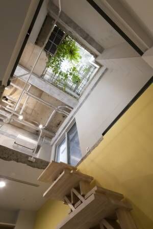 元印刷工場をリノベーション 吹き抜けを彩る“緑の階段”で光と自然を取り込む
