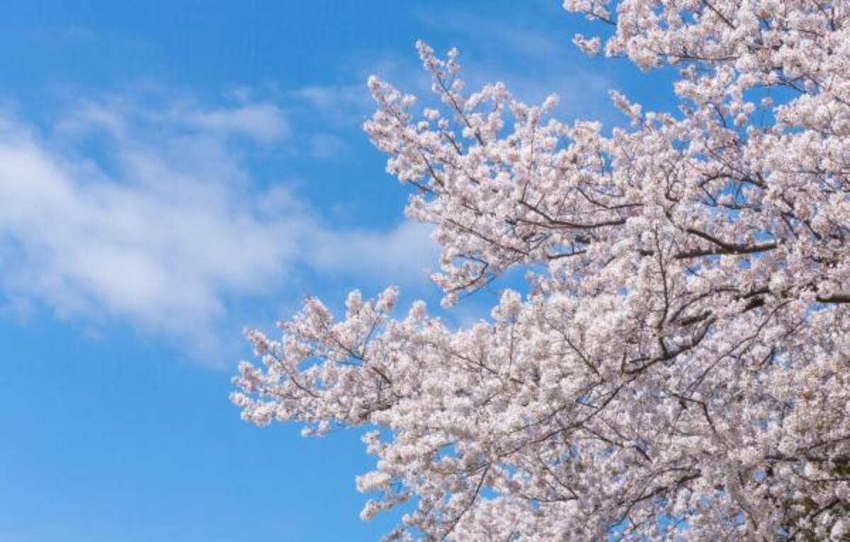 春 夏へ 季節の変わり目は要注意 気をつけるべきスキンケア方法 ウーマンエキサイト 1 3