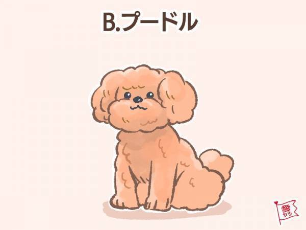 パートナーにしたい犬でわかる！あなたと相性のいい「男性の年齢差」