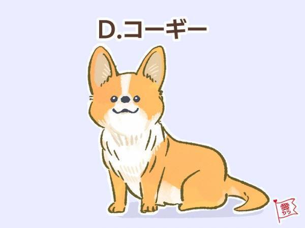 パートナーにしたい犬でわかる！あなたと相性のいい「男性の年齢差」