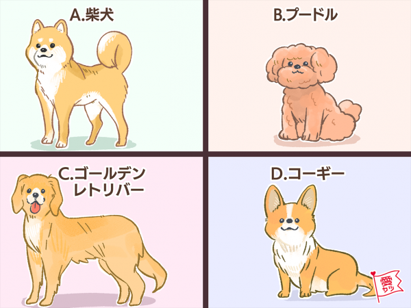 パートナーにしたい犬でわかる あなたと相性のいい 男性の年齢差 年10月13日 ウーマンエキサイト 1 4