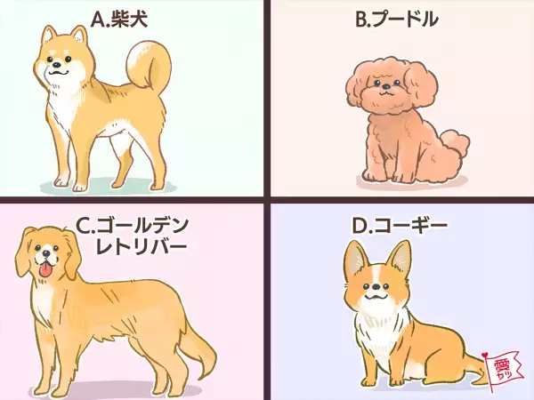 パートナーにしたい犬でわかる！あなたと相性のいい「男性の年齢差」