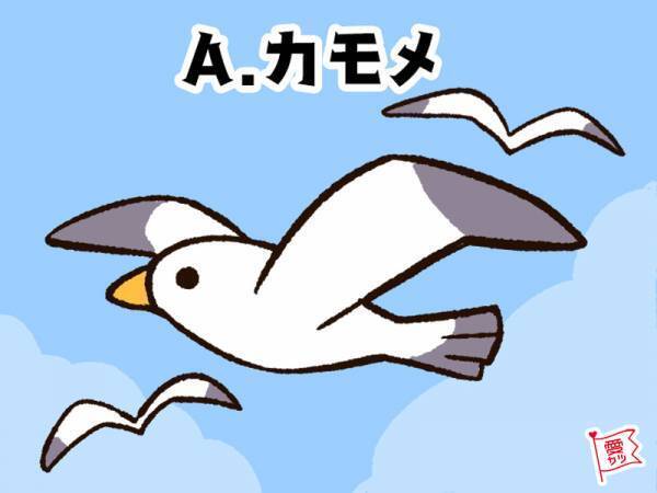「海で最初に見たものは何？」でわかる！あなたがこの夏に出会う男性