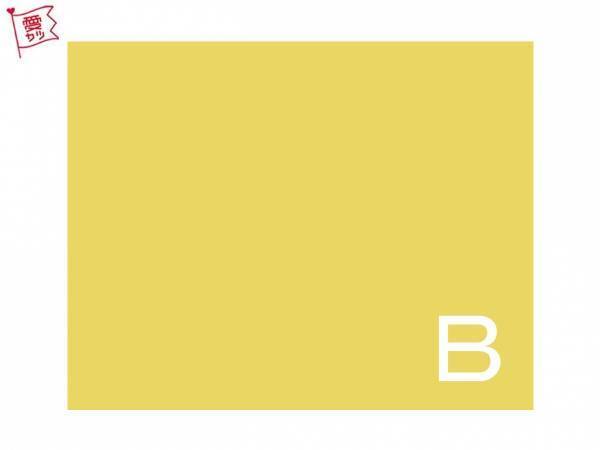 あなたの気になるイエローはどれ？でわかる！あなたの人気者度