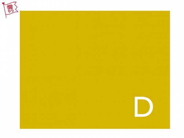 あなたの気になるイエローはどれ？でわかる！あなたの人気者度