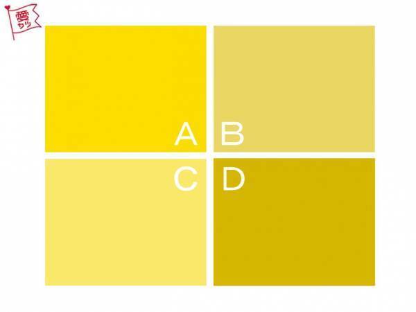 あなたの気になるイエローはどれ？でわかる！あなたの人気者度