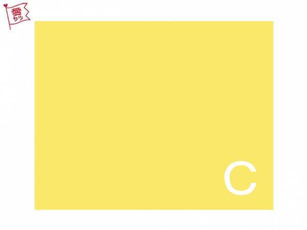 あなたの気になるイエローはどれ？でわかる！あなたの人気者度