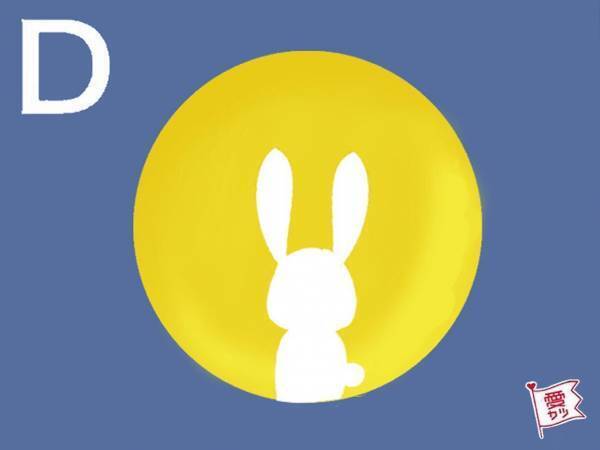 お月様の中でうさぎは何してる？でわかる！あなたのロマンチスト度