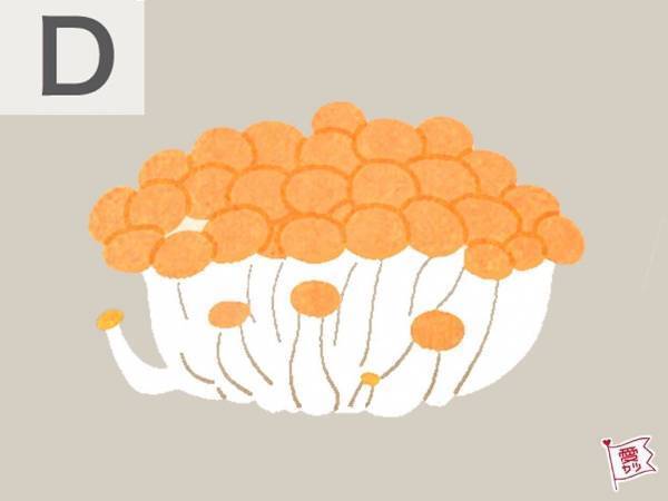 気になるキノコはどれ？あなたの「異性を魅了する中毒性」がわかる診断