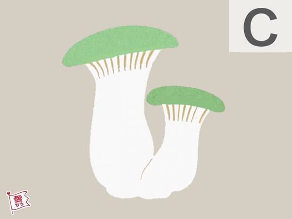 気になるキノコはどれ？あなたの「異性を魅了する中毒性」がわかる診断