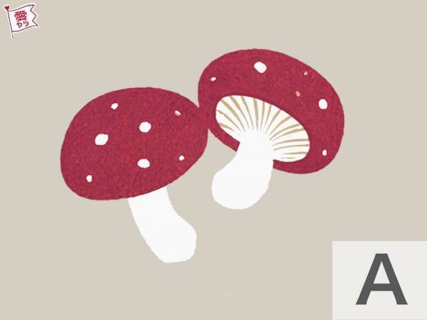 気になるキノコはどれ？あなたの「異性を魅了する中毒性」がわかる診断