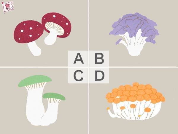 気になるキノコはどれ？あなたの「異性を魅了する中毒性」がわかる診断