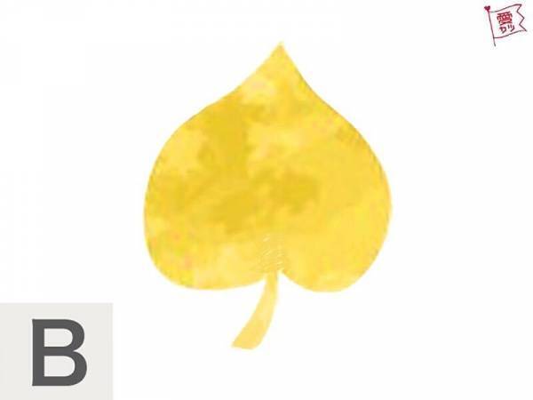 あなたが気になる落ち葉はどれ？でわかる！あなたと「運命で結ばれた恋人の正体」