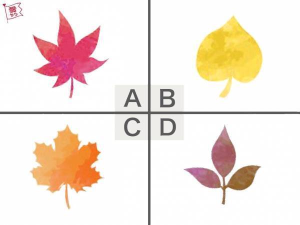 あなたが気になる落ち葉はどれ？でわかる！あなたと「運命で結ばれた恋人の正体」