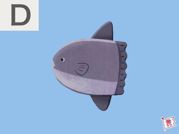 水族館で見たい生き物でわかる！あなたの恋愛傾向