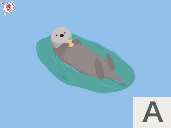 水族館で見たい生き物でわかる！あなたの恋愛傾向