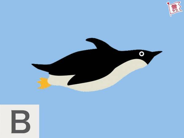 水族館で見たい生き物でわかる！あなたの恋愛傾向