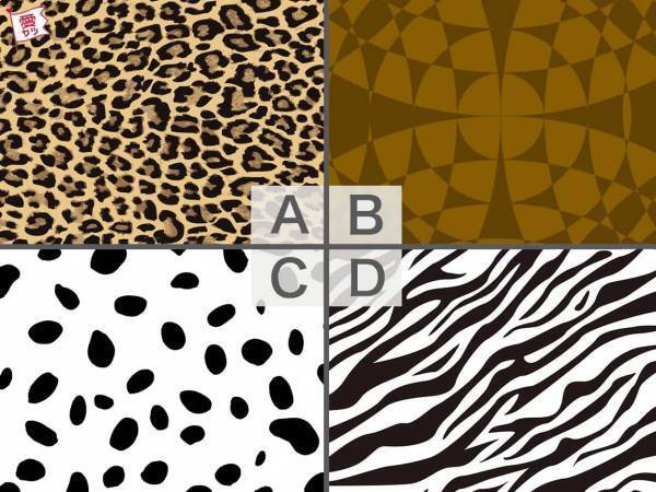 好きなアニマル柄でわかる！あなたに潜んでいる「恋愛的本能」