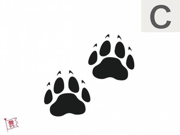 「気になる足跡」でわかる！あなたに好意を寄せている男性