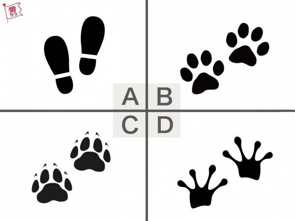 最も人気のある 医者 好意 サイン 医者 好意 サイン