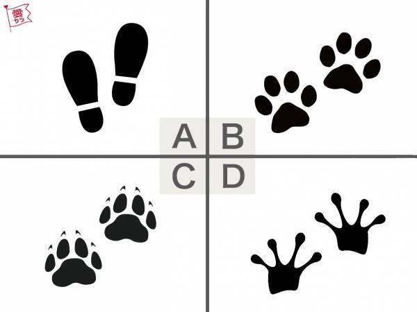 「気になる足跡」でわかる！あなたに好意を寄せている男性