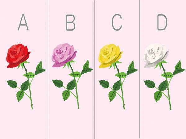 一輪もらうならどれ？選んだバラの色で「運命で結ばれた男性」を診断！