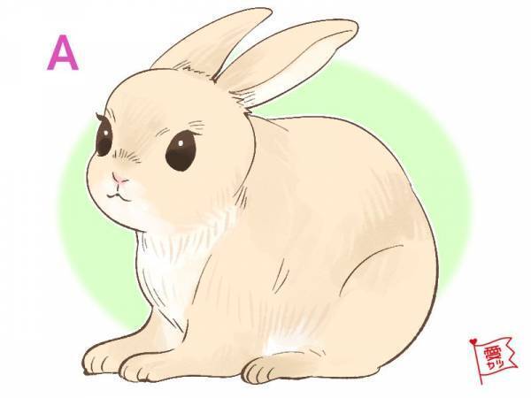 あなたが気になるウサギでわかる！あなたの寂しがり屋度