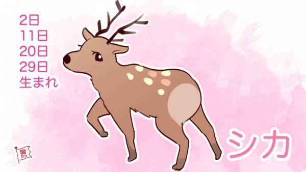 誕生日別・性格診断♡あなたを動物にたとえると…？