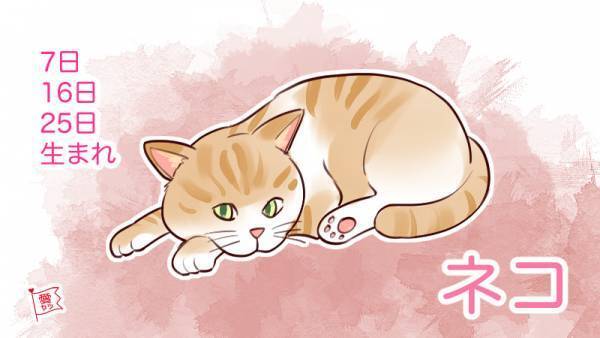 誕生日別・性格診断♡あなたを動物にたとえると…？