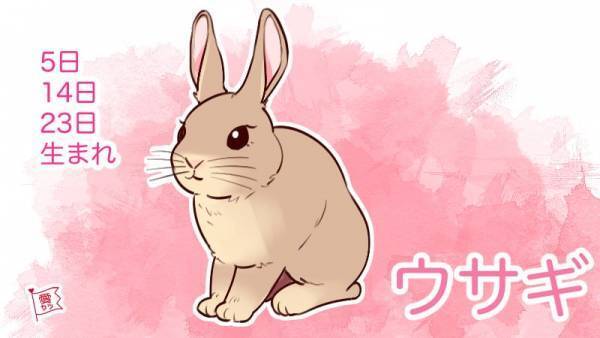 誕生日別・性格診断♡あなたを動物にたとえると…？