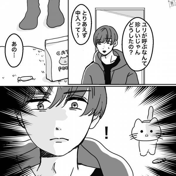 『ど…どうしよう…』“道端で仲良くなった猫”が自宅までついてきてしまい…→彼氏の目が点！？【同棲計画】に暗雲立ち込める…