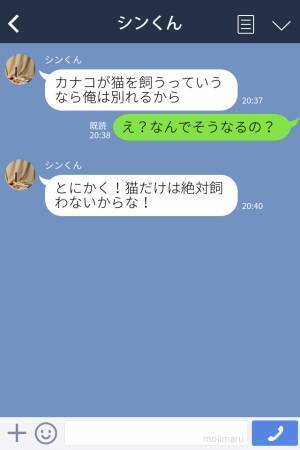 『猫は絶対に飼わない！』“猫を飼いたい”と提案しただけで…彼氏が大激怒！？→別れ話まで発展し驚きを隠せない…！