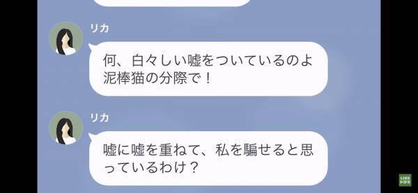 浮気の誤解を解こうとしても…「あなたは大ウソつきのようね！」信じてくれない！？→聞く耳すらもたないママ友にウンザリ…！