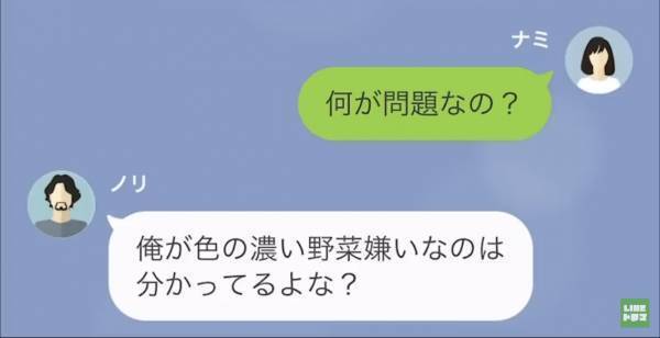 「おい、この弁当は何だ？」野菜嫌いな夫が激怒…⇒「貴方の為を思って作ったのよ」偏食の激しい夫を気遣い、工夫した妻だったが！？【LINE】