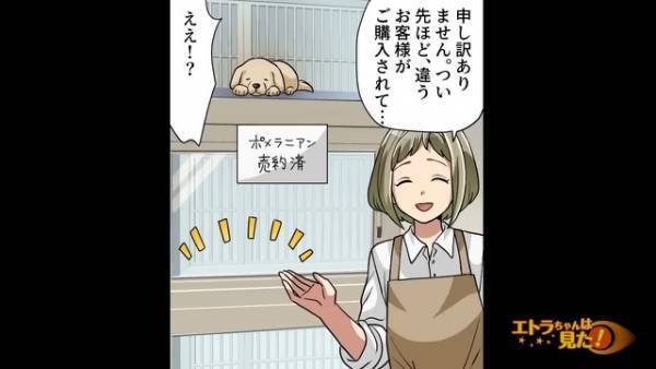 客「取り返してやる！！」店で“お気に入りの犬”が売れてしまい…まさかの大激怒！？→“警察沙汰に発展”した真相を知り夫婦が絶句…