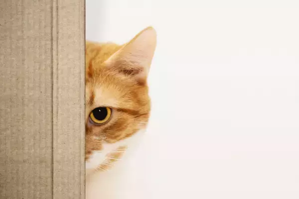 家族について“一切話さない”彼氏に不安あり…→婚約後、明らかになった【彼氏の家族】に仰天！？