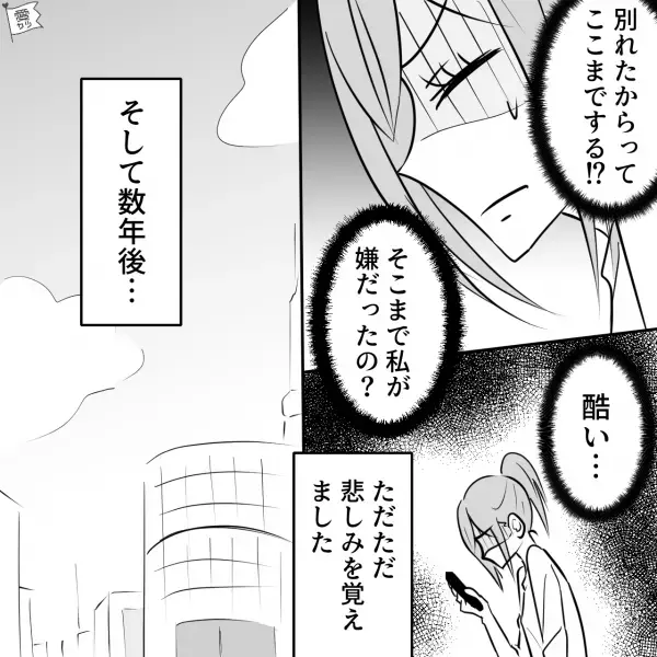 【急に冷たくなった彼】限界を感じて別れると…私「ブロックされてる！？」即“縁切り”状態にされた！→数年後“不可解な事実”を知り唖然…